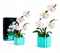 orchid (2).png