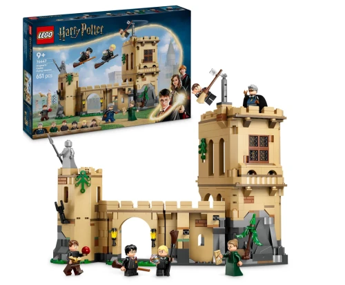 Screenshot 2026-10-16 at 14-21-49 LEGO Harry Potter Zamek Hogwart lekcja latania na miotle 76447 9 lat. 5702017812854 • Cena • Opinie - Allegro.png